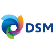 DSM logo